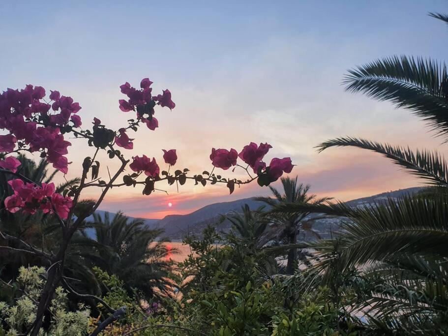 Cactus Garden Kalkan - Club Patara Villas 외부 사진