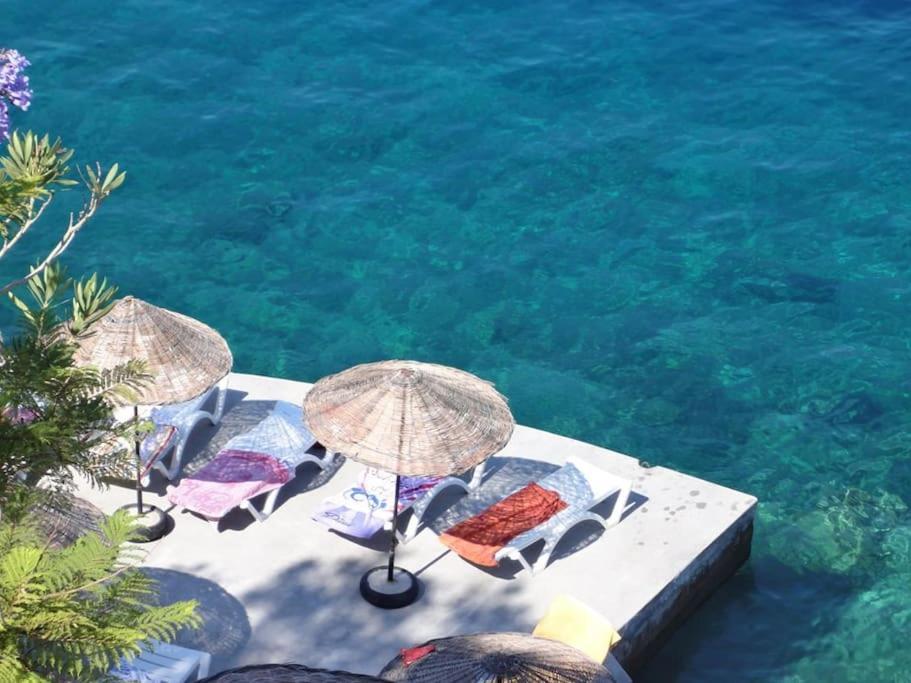 Cactus Garden Kalkan - Club Patara Villas 외부 사진